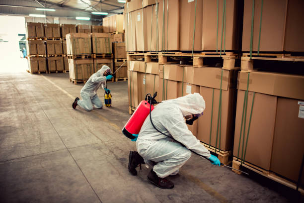 Pest Control Cost in Morgantown, IN