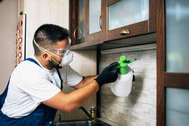 Best Exterminator Services  in Morgantown, IN