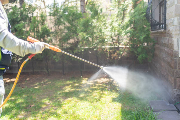 Best Insect Control  in Morgantown, IN