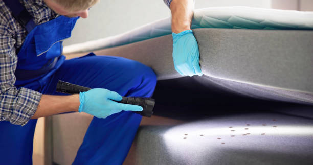 Best Commercial Pest Control Services  in Morgantown, IN