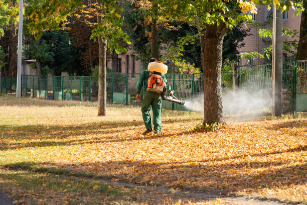 Best Mosquito Control Services  in Morgantown, IN