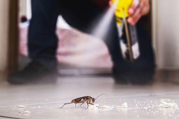Wasp Removal Services in Morgantown, IN