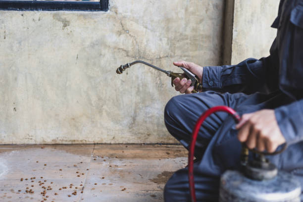 Best Affordable Pest Control Services  in Morgantown, IN