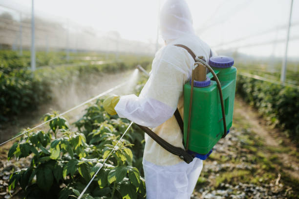 Best Pest Inspection Near Me  in Morgantown, IN